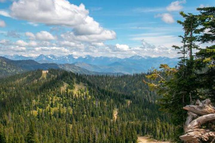 Kintla 308 Lock Off Hotel Room - thumb 3
