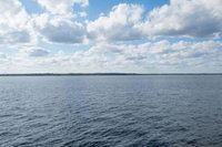 Made for Family Fun Open Water Beauty