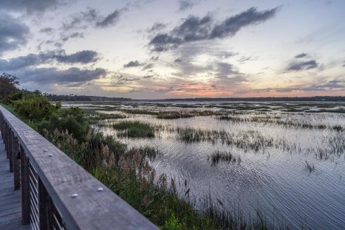 10 Dove Street - thumb 2