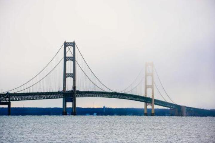 Cozy Carp Lake Cottage W / Dock 4 Kayaks & Fire Pit - thumb 4