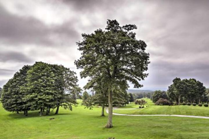 Condo W / Golf Spa & Shuttle To Seven Springs! - thumb 5