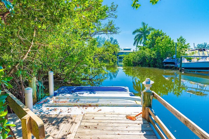 White Shell - thumb 5