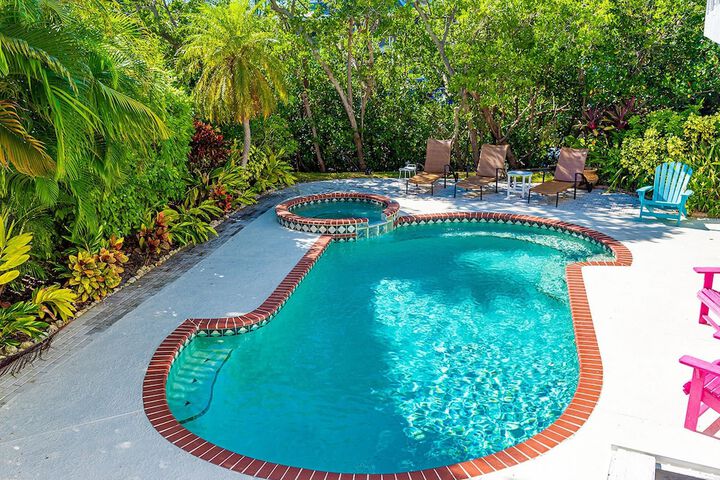 White Shell - thumb 3