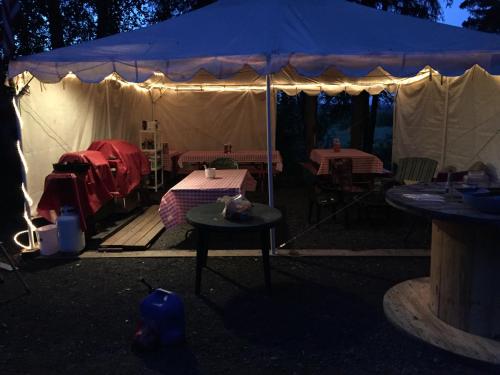 Fosters Alaska Cabins - thumb 6