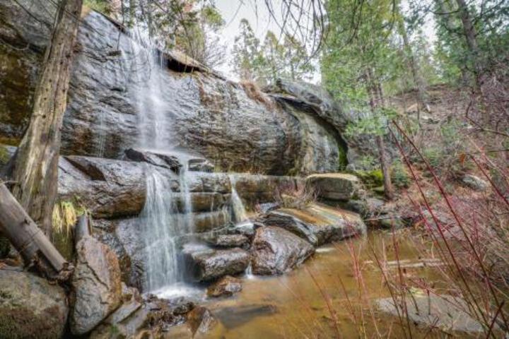 Forest Falls - thumb 1