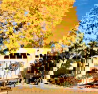 Sedona Pines Resort - Accommodation Los Angeles