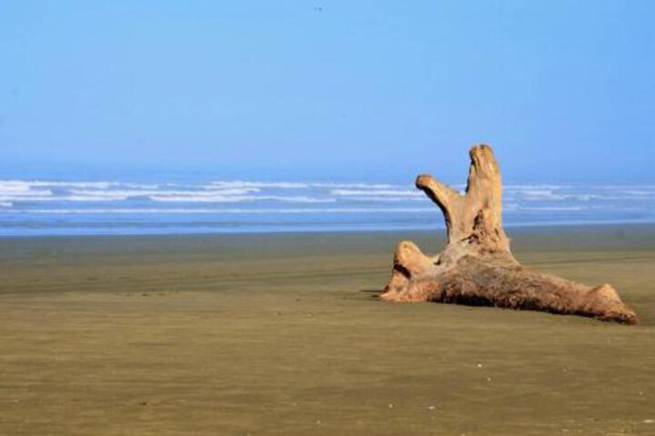 Crab Cottage - thumb 2