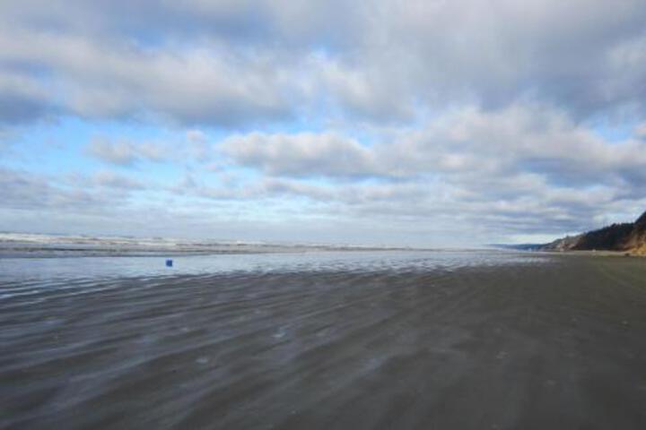 Driftwood Cottage - thumb 3