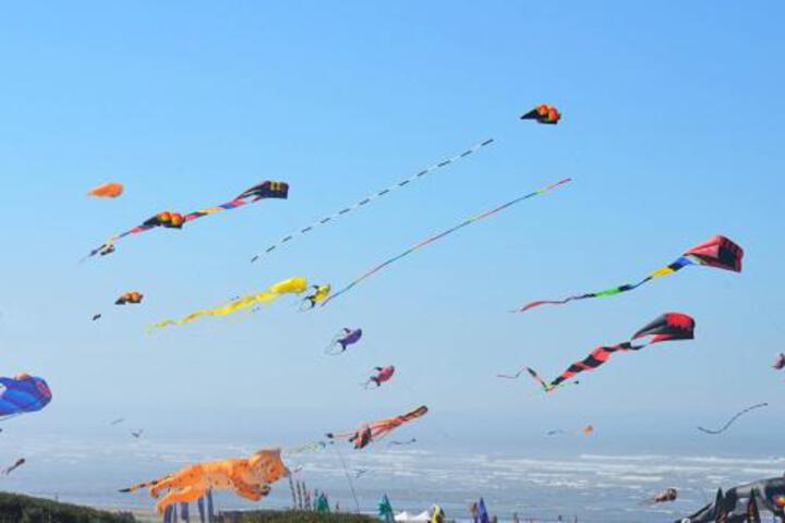 Driftwood Cottage - thumb 0