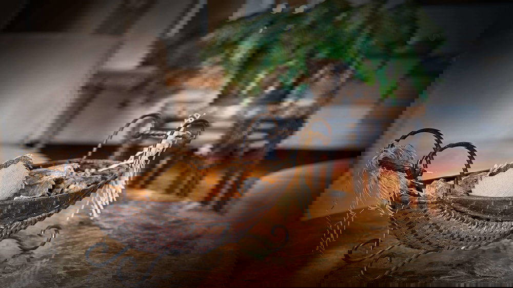 Best Western Plus Memorial Inn & Suites - thumb 5