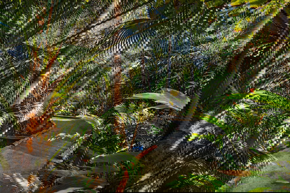 Bahia Resort Hotel - thumb 6