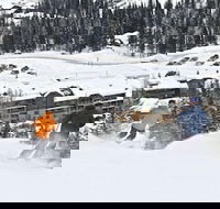 Morning Eagle - Accommodation Los Angeles