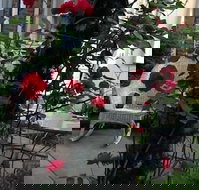 Port City Guest House - Accommodation Los Angeles