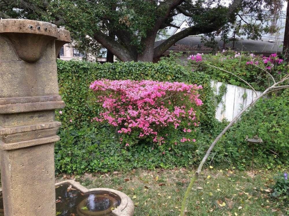 Port City Guest House - thumb 1