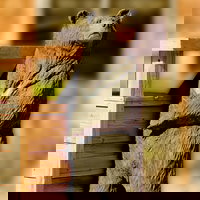 The Lodge at Jackson Hole