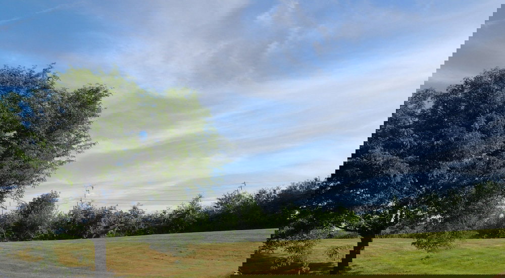 Quality Inn & Suites Fairgrounds - thumb 2