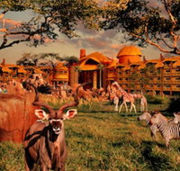Disney's Animal Kingdom Lodge - Accommodation Los Angeles