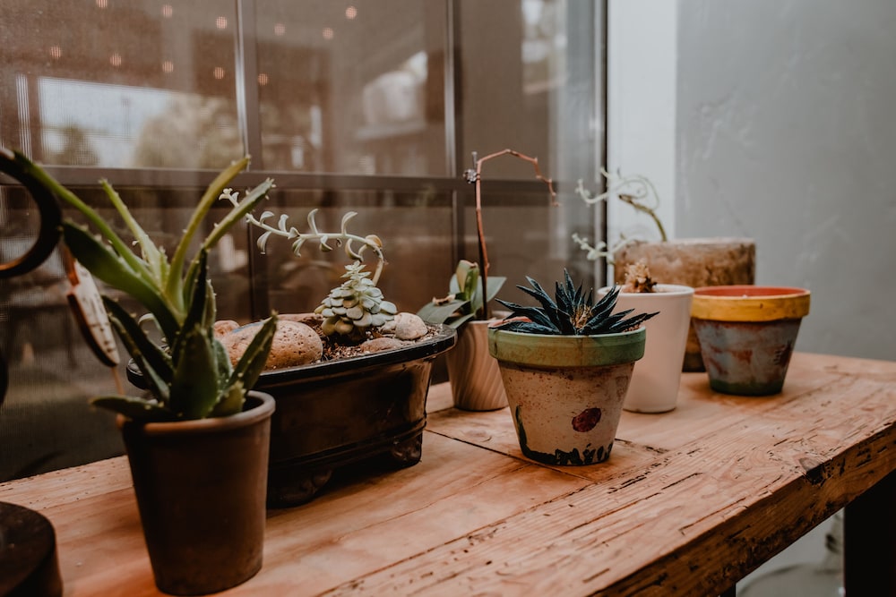 Square Inn - thumb 3