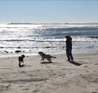 The Seascape Inn - Accommodation Los Angeles