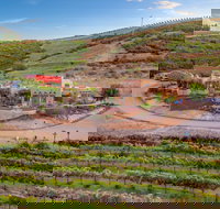 Manucci Winery - Wild Coyote B&B - Accommodation Los Angeles