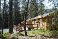 Bear Creek Cabins