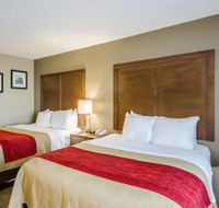 Comfort Inn Lexington - Accommodation Los Angeles