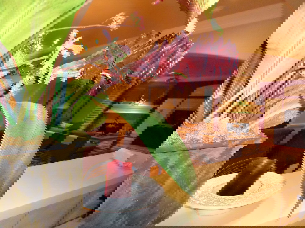 CitySpaces BnB - thumb 2