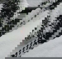 Tahoma Meadows Cottages - Accommodation Los Angeles