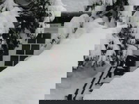 Accommodation Los Angeles