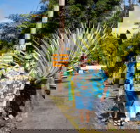 Aloha Junction Bed & Breakfast - Accommodation Los Angeles