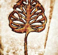 The Golden Leaf Inn - Accommodation Los Angeles