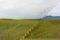 Surfcrest Vacation Condominiums a VRI resort