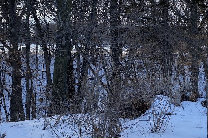 Burr Oak Motel - thumb 3