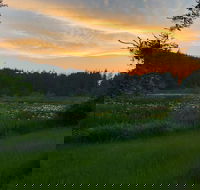 Otters Pond Bed & Breakfast - Accommodation Los Angeles