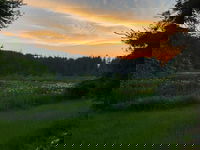  Accommodation Los Angeles