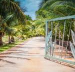 Aloha AKU Honu 2 - Accommodation Los Angeles