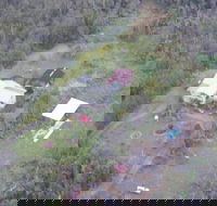 Fern Forest Getaway - Accommodation Los Angeles