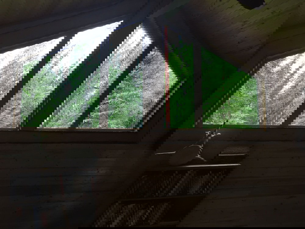 A Walden's Pond - thumb 4