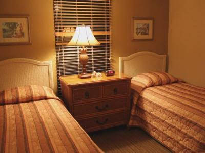 Hilton Grand Vacations Eagles Nest Resort - thumb 1
