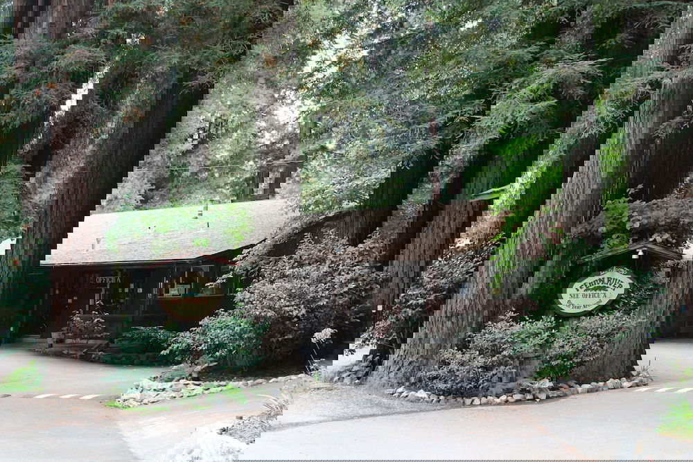 Fern River Resort - thumb 0