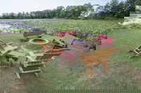 Edinboro Lake Resort Cabins