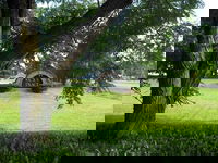 The Seasons Inn at Nicks Place