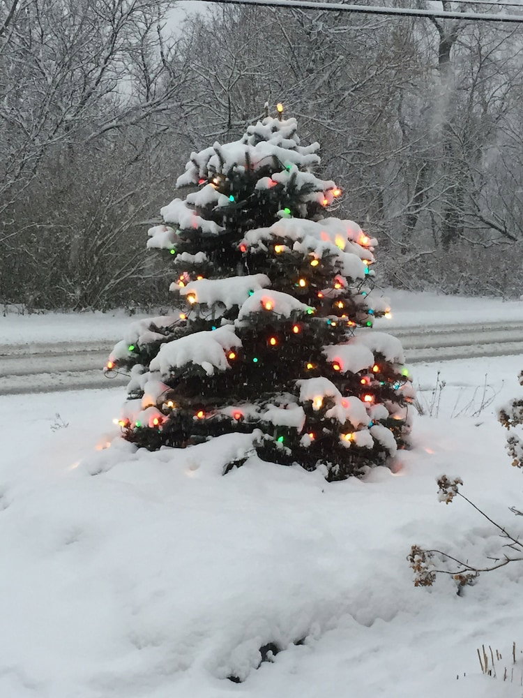 The Ira Allen House - thumb 3