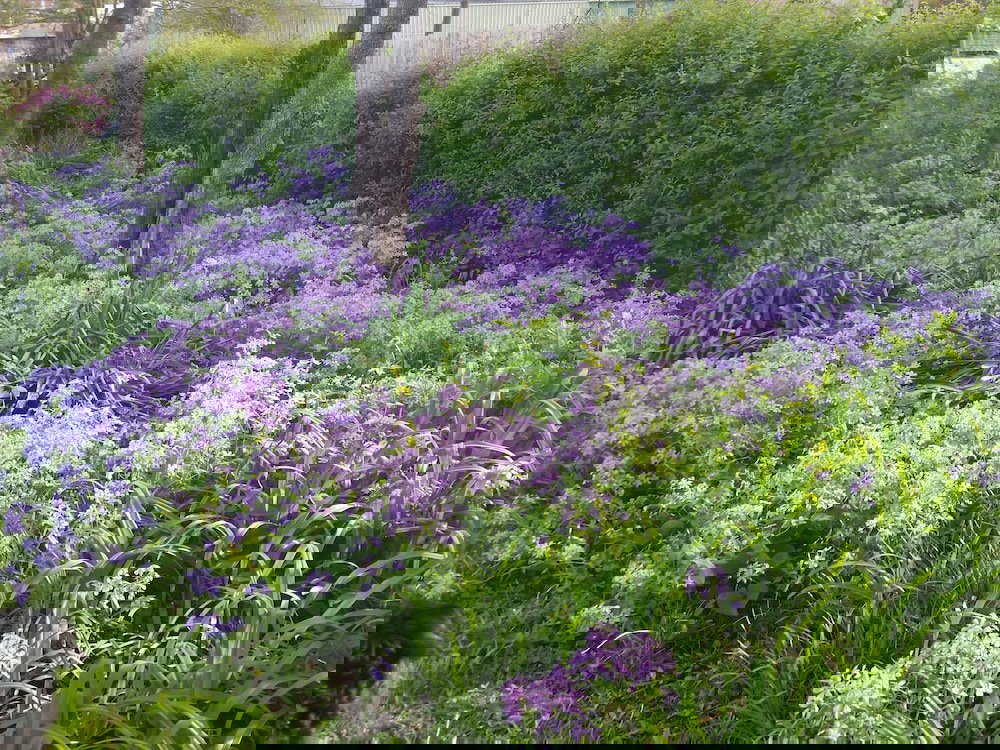 Spahn House Bed And Breakfast - thumb 6