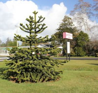 Mariner's Cove Inn - Accommodation Los Angeles