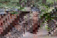 Rustic Modern Cabin in the Pines by RedAwning