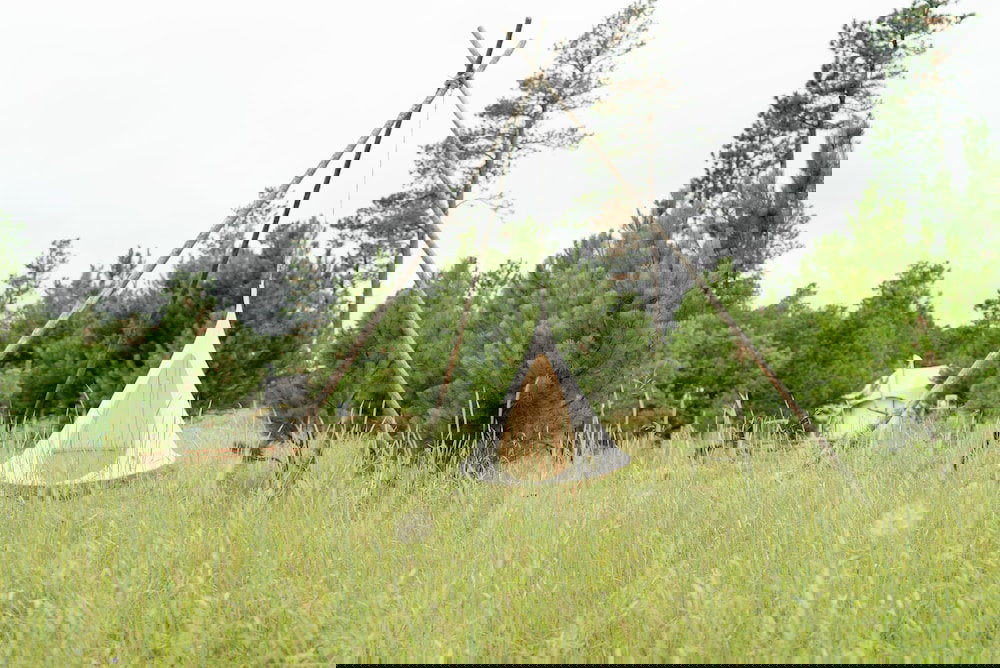 Under Canvas Mount Rushmore - thumb 2