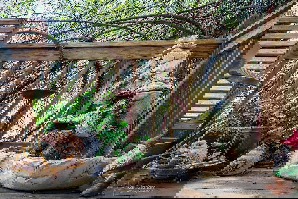 Equinox Inn At Biscuit Hill - thumb 1