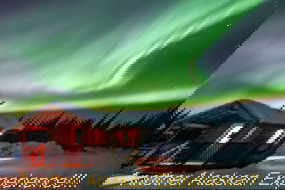 Alaska Log Cabins On The Pond B & B - thumb 3