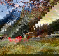 Clydesdale Outpost - Accommodation Los Angeles